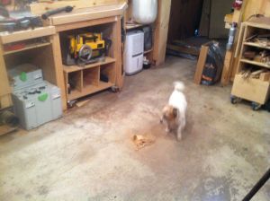 Wow! My tiny shop looked huge without a table saw in it. I did have a minute where i thought, maybe a nice Roubo instead...